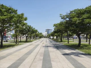 新都心公園
